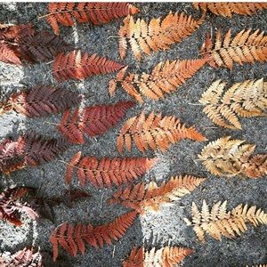 Meet your Posher, Jeanne